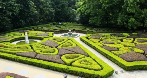 園林綠化養護必備知識